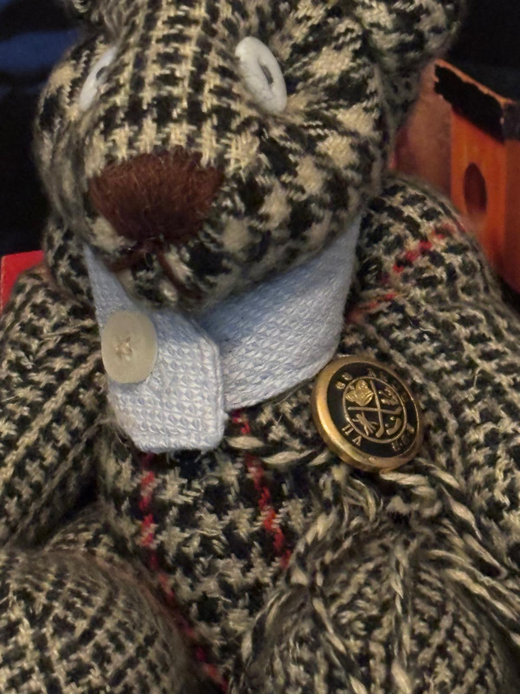 Samuel the Bear
